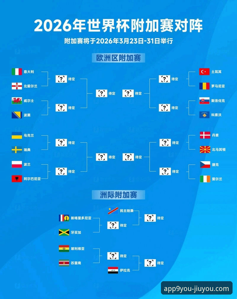 阿根廷新星重伤无缘世界杯：九游体育平台赛事信息深度解析实用指南